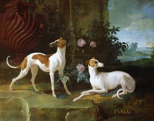 Misse og Turlu, to greyhounds av Louis XV